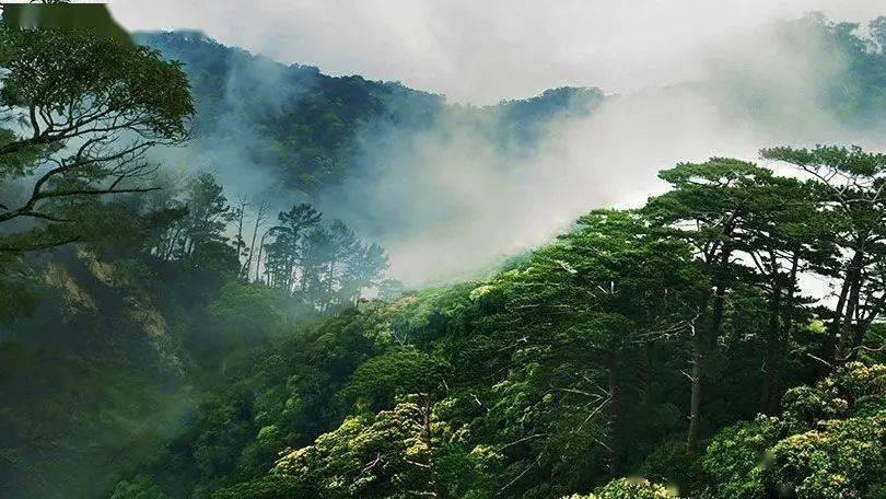 普德斯锂电池加盟是真的吗？游戏画面