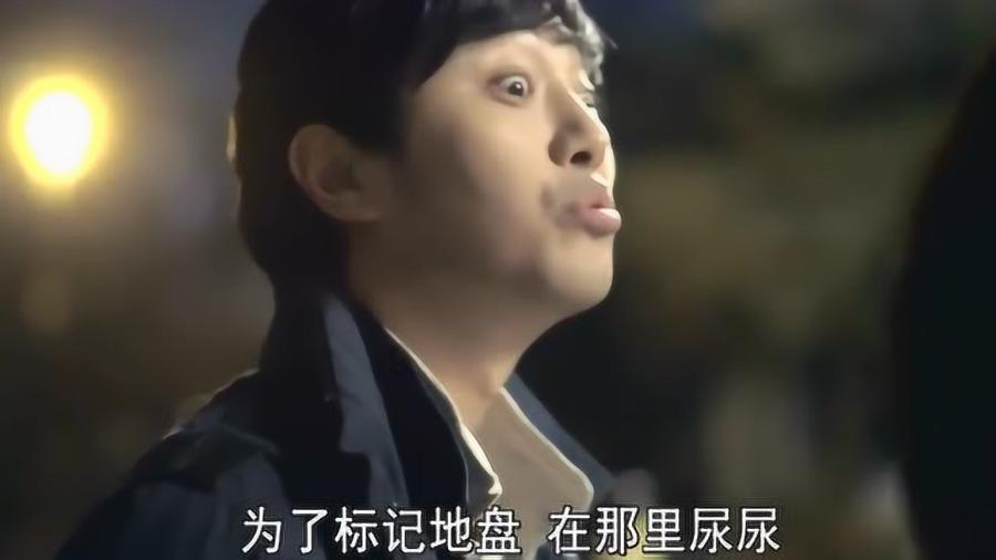 春雨直播app